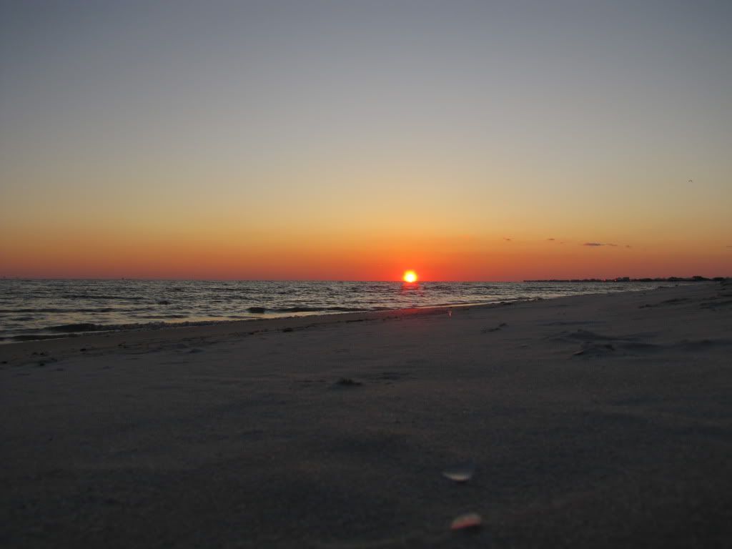 IMAGE: http://i259.photobucket.com/albums/hh311/duckduckdog/IMG_0365.jpg