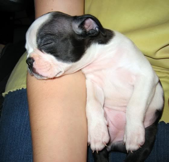 Sleepy Head Pictures, Images and Photos