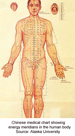 Acupuncture Chart Arm