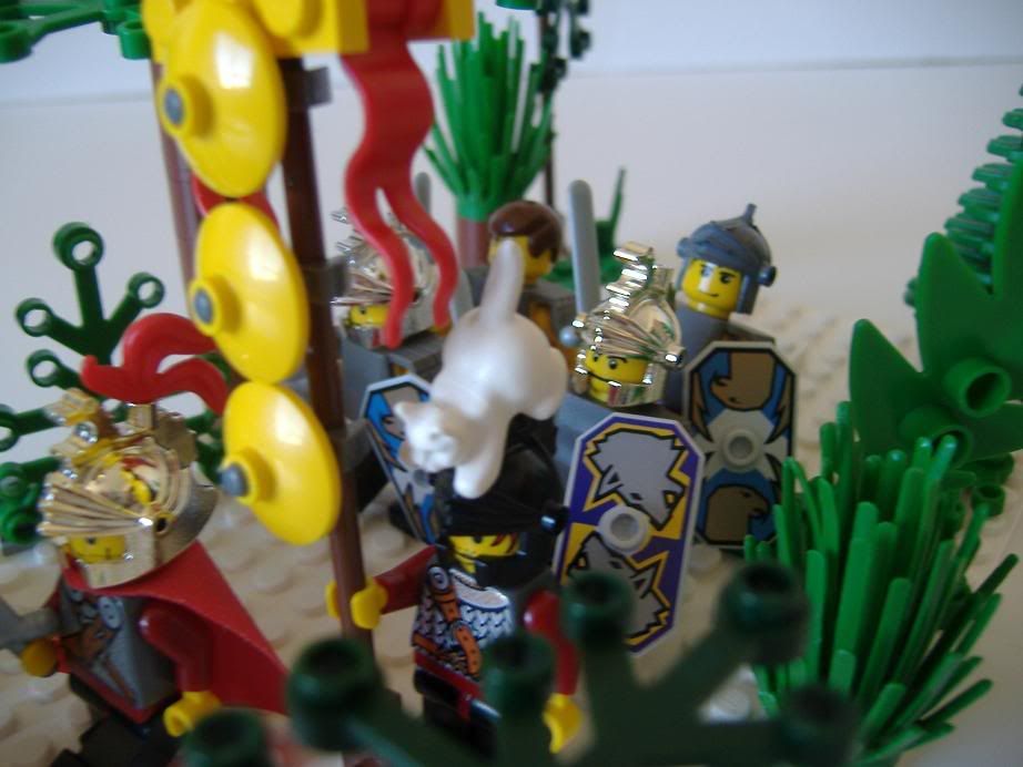 DSCF2567.jpg