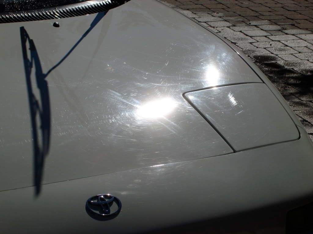 DSC05801.jpg