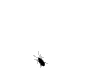 th_avatar_1303.gif