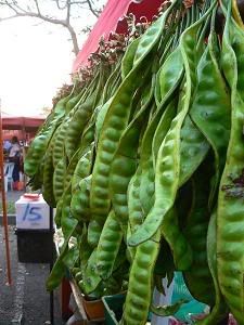 petai Pictures, Images and Photos