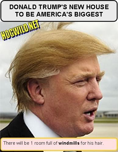 donald trump hair blowing. donald trump hair piece.