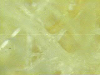 Image010Fram1.jpg
