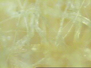 Image010fram20HM1.jpg