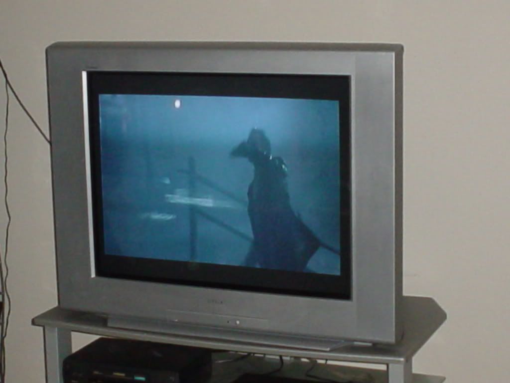 Sony Trinitron WEGA KV36FS100 PeoplesBoard Your Home Away From Home