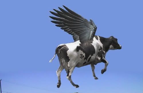 [Obrazek: Flying-cow--16791.jpg]