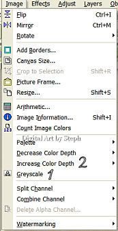 changing to grey scale and 64 million colors