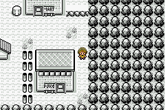 [PokeCommunity.com] *~*Pokémon Zephyr Version*~*