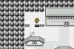 [PokeCommunity.com] *~*Pokémon Zephyr Version*~*