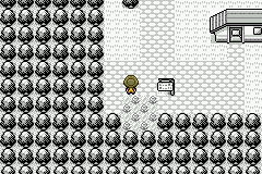 [PokeCommunity.com] *~*Pokémon Zephyr Version*~*