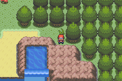 [PokeCommunity.com] Syn_Saneggidarkrony™ Corp.