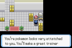 [PokeCommunity.com] Pokémon Eclipse - Rise of the Moon