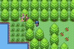[PokeCommunity.com] Pokémon Eclipse - Rise of the Moon