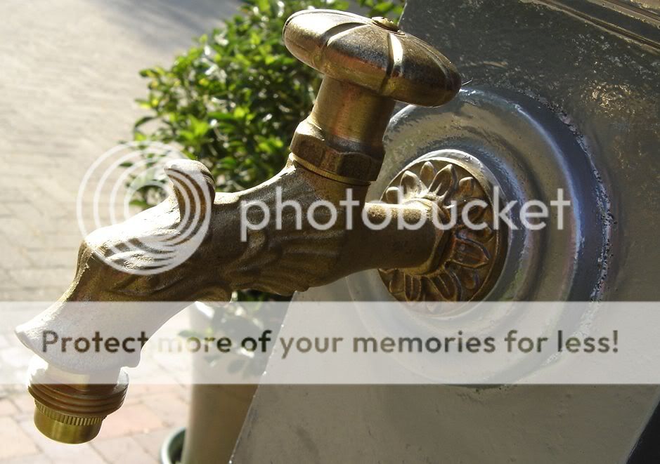 Sehr dekorativ. Ideal für Wand/Standbrunnen oder an Hausecke.