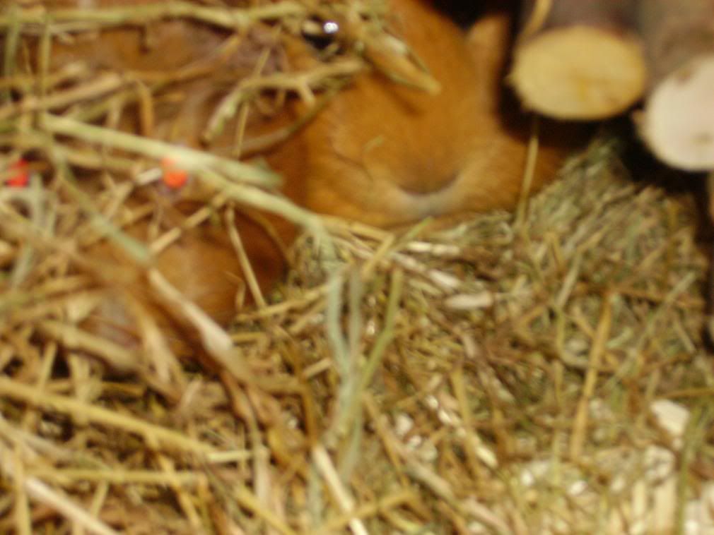 LBBday08031.jpg