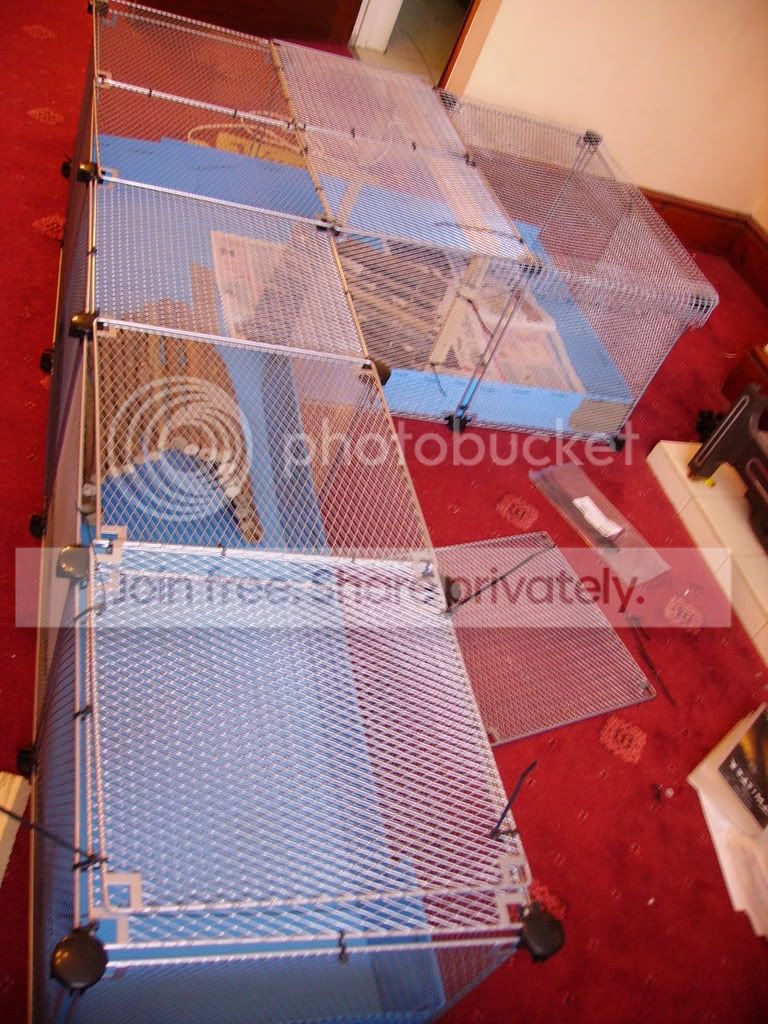 PICT1076.jpg