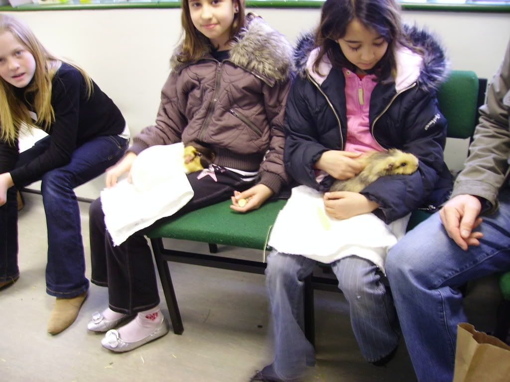 PICT1082.jpg