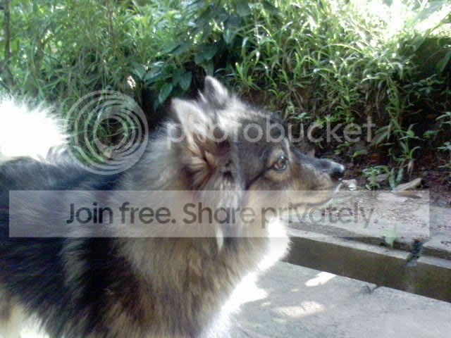 DSC00012.jpg