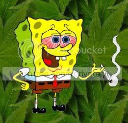 SPONGE.jpg