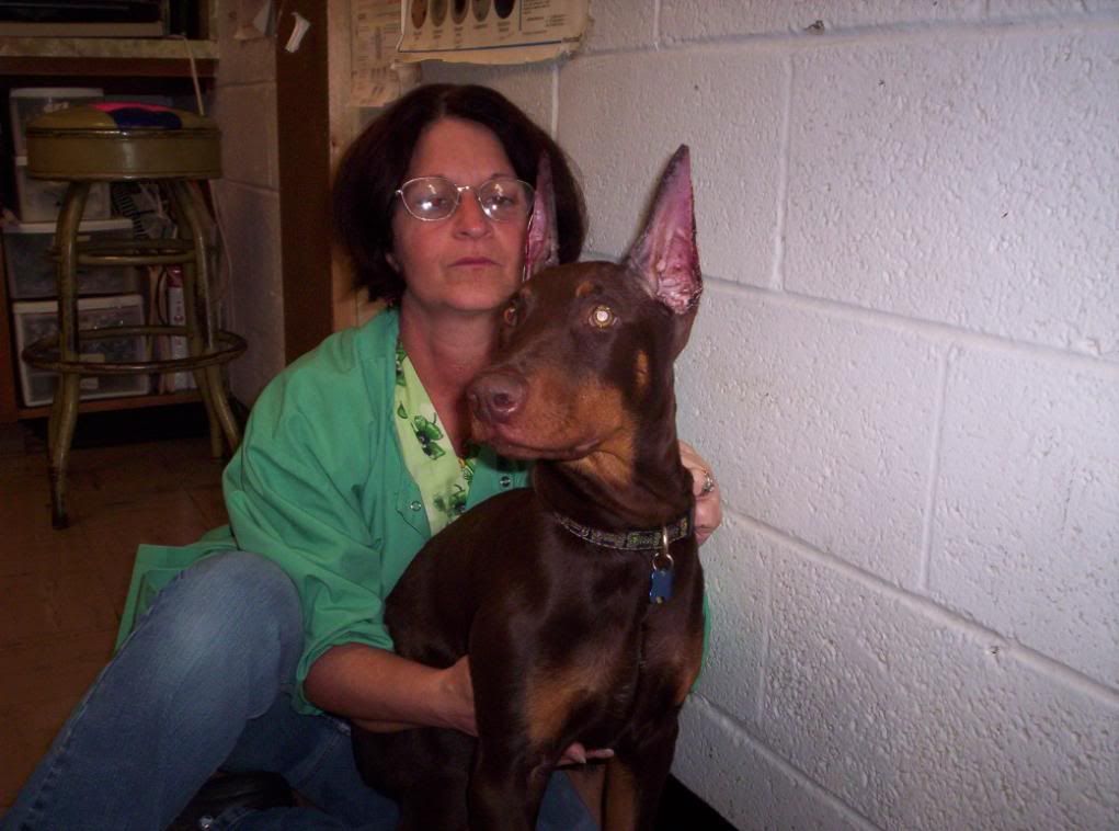 Whats the oldest age you can crop a dogs ears
