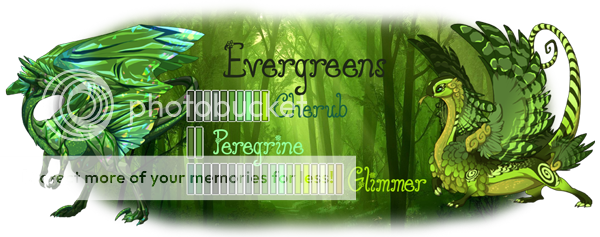 Evergreens_zpsji7uro8y.png