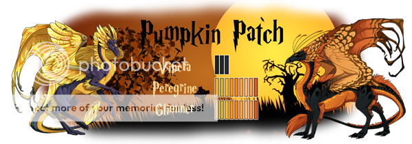 PumpkinPatch_zpsfpjpgu0j.png
