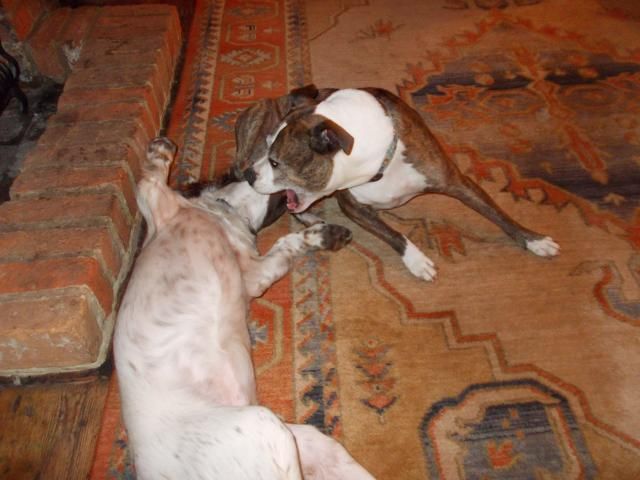 DSCN1467.jpg